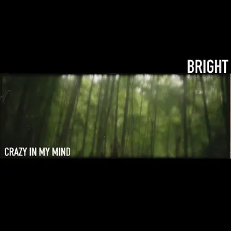 Crazy in My Mind by Bright