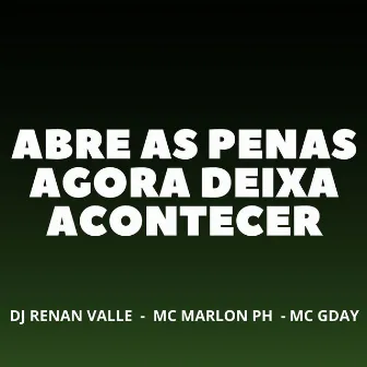 ABRE AS PERNAS AGORA DEIXA ACONTECER by MC GDAY