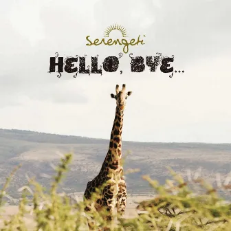 Hello, Bye… by Serengeti