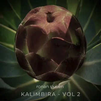 Kalimbira Vol. 2 by Ronan Skillen