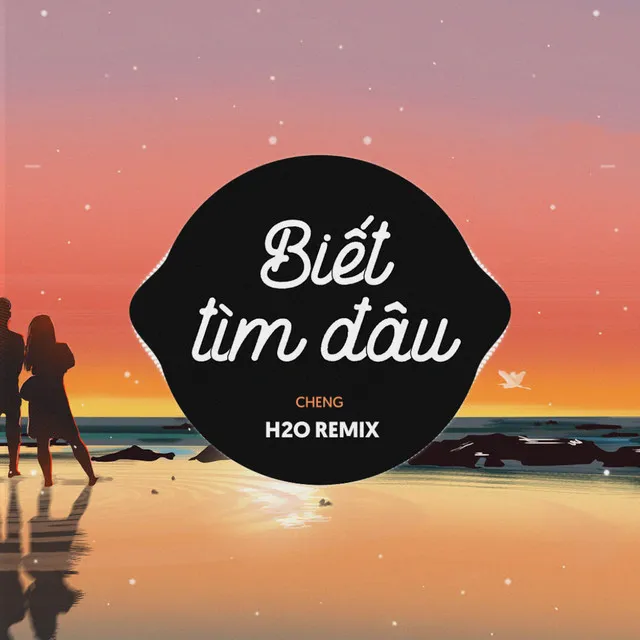 Biết Tìm Đâu Remix (EDM)