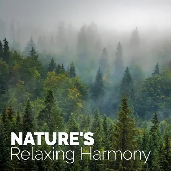 Nature's Relaxing Harmony by Unknown Artist