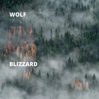 Blizzard by Wolf