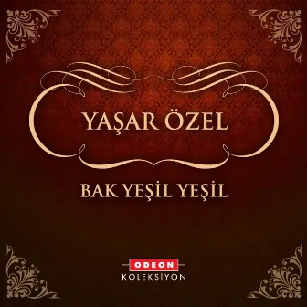 Bak Yeşil Yeşil by Yaşar Özel