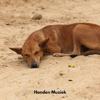 Honden Muziek by Honden Records