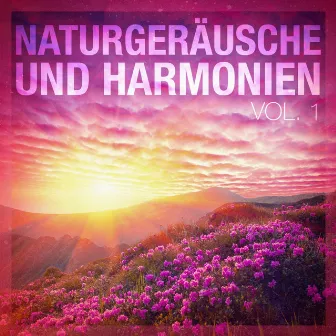 Naturgeräusche und Harmonien, Vol. 1 by Hans Eberhard