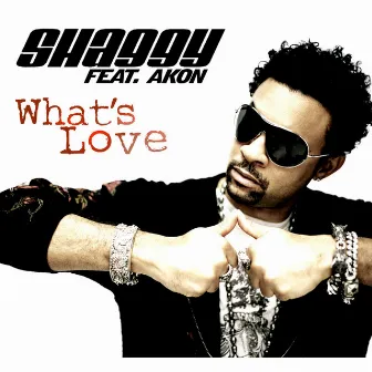 What's Love by Shaggy