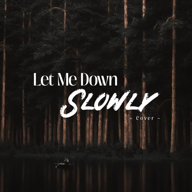 Let Me Down Slowly - Cover