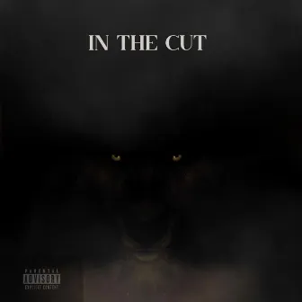 In The Cut by Steelo