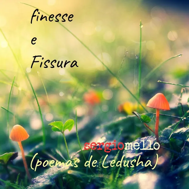 Finesse e Fissura