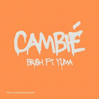 Cambié by Brish