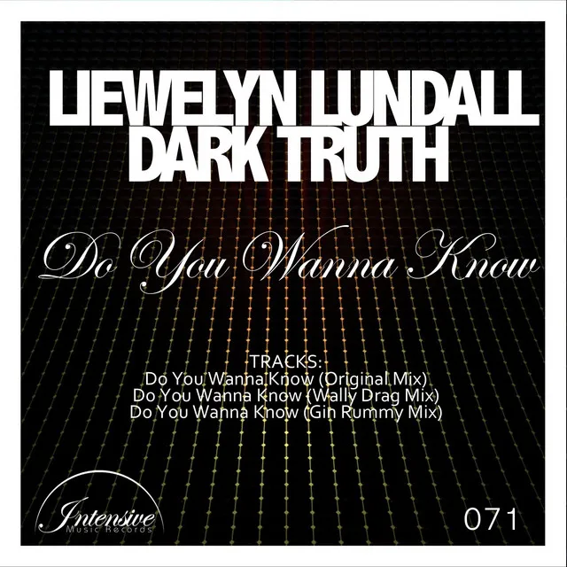 Do You Wanna Know - Original Mix