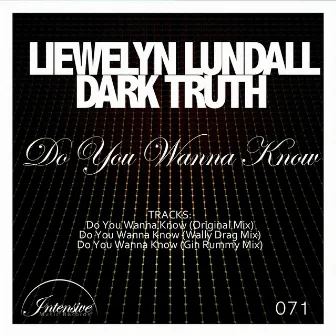 Do You Wanna Know by Llewelyn Lundall