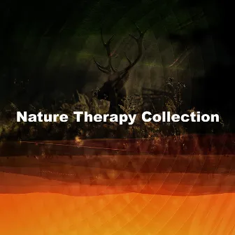 Nature Therapy Collection by Nature Expedition