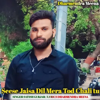 Seese Jaisa Dil Mera Tod Chali tu by 