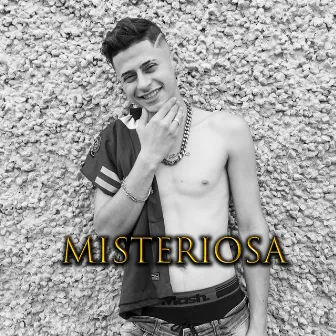 Misteriosa by MC Vetinho