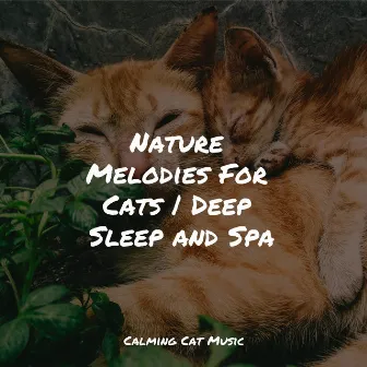 Nature Melodies For Cats | Deep Sleep and Spa by Music for Cats Project