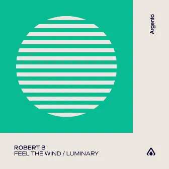 Feel The Wind / Luminary by Robert B