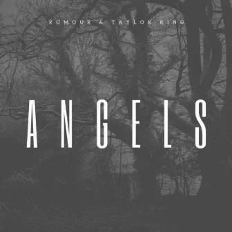 Angels by Taylor King