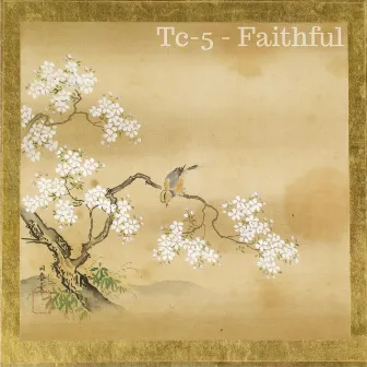 Faithful by Tc-5