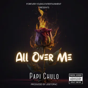 All Over Me by Papi Chulo