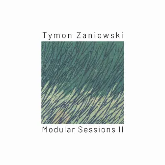 Modular Sessions II by Tymon Zaniewski