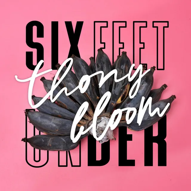 Six Feet Under