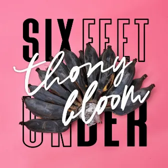 Six Feet Under by Thony Bloom