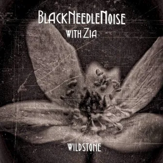 Wild Stone by Black Needle Noise