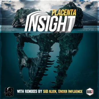 Insight (Single) by Placenta