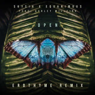 Open (Erothyme Remix) by Erothyme