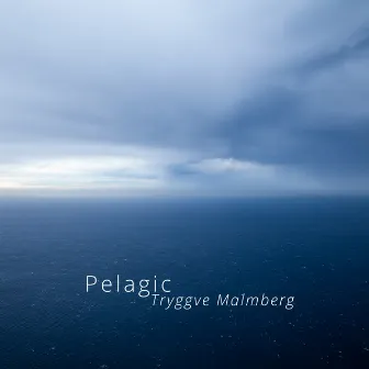 Pelagic by Tryggve Malmberg