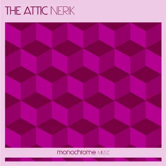 The Attic by Nerik