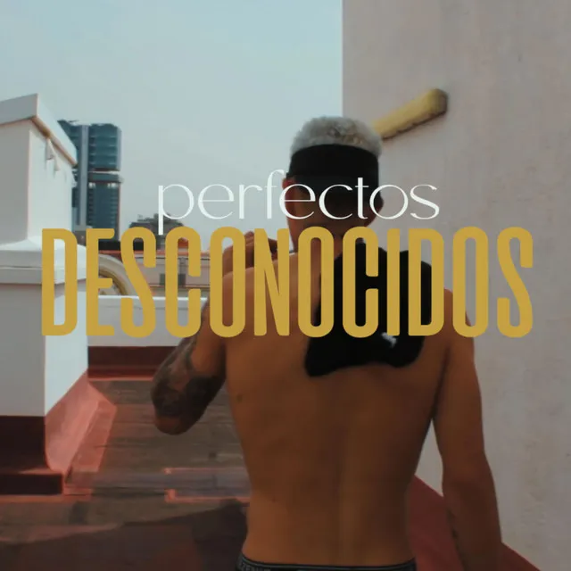 Perfectos Desconocidos