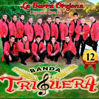 La Burra Orejona (Igualita Que Tu) (Edited) by Banda Triguera