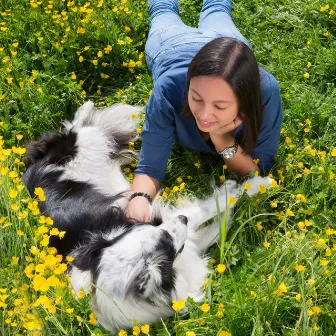 Dogs Love Jazz: Coffee Shop Serenade of Loyal Companions by Soft Jazz Songs