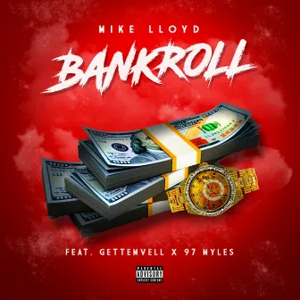 Bankroll by Mike Lloyd