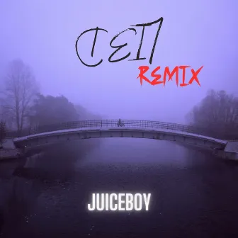 LI3D (Remix) by Juiceboy