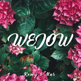 Wejow by Remy