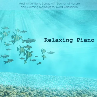 Relaxing Piano - Meditative Piano Songs with Sounds of Nature and Calming Melodies for Mind Relaxation by Piano Music Aria