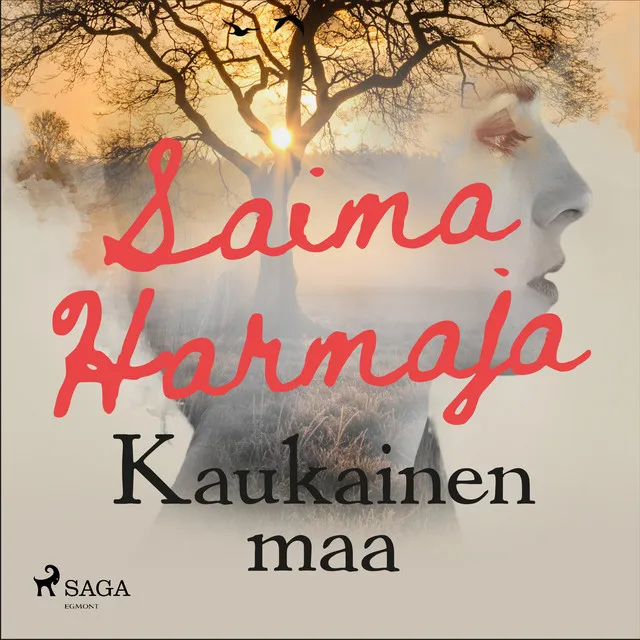 Chapter 15.2 & Chapter 16 & Chapter 17.1 - Kaukainen maa