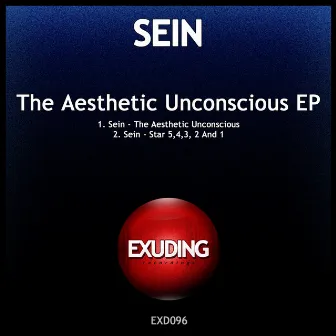 The Aesthetic Unconscious by Sein