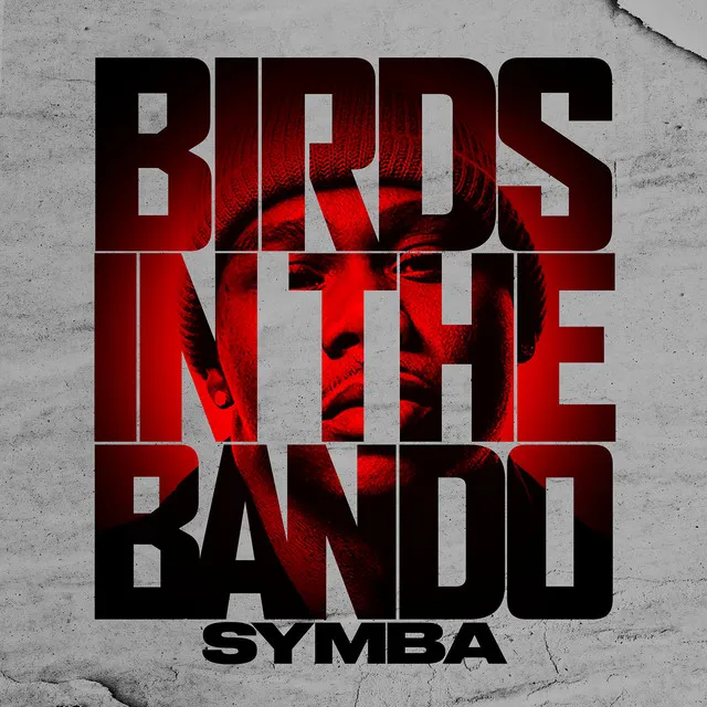 Birds In The Bando