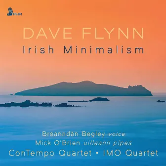 Dave Flynn: Irish Minimalism by Dave Flynn