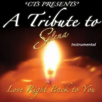 Love Right Back to You - Instrumental by CTS