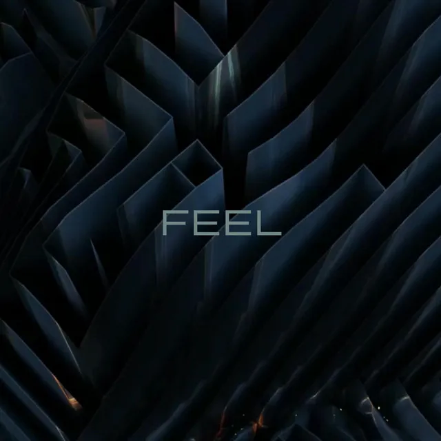 Feel