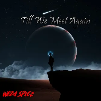 Till We Meet Again by Woza Spice