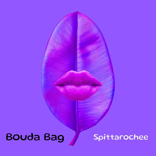 Bouda Bag