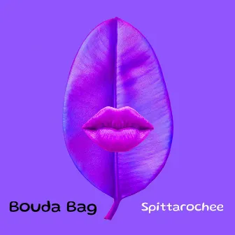 Bouda Bag by Spittarochee