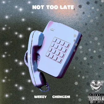 Not Too Late by Weezy